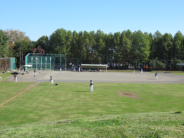 新琴似グリーン公園 夏期野球場のグラウンドの写真