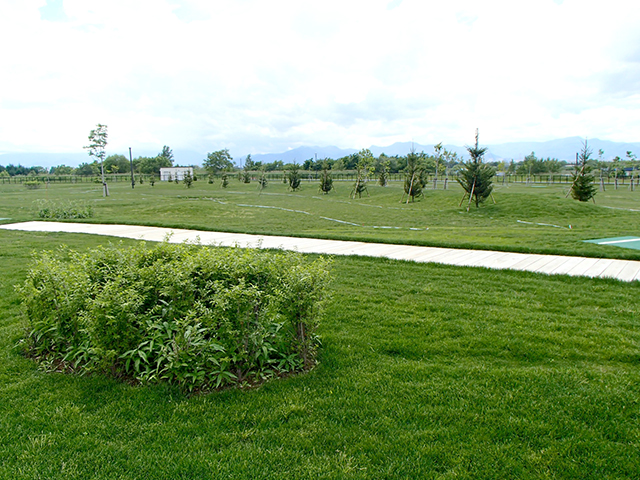 厚別山本公園/公園内の写真