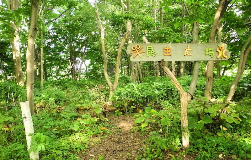 あいの里公園の風景