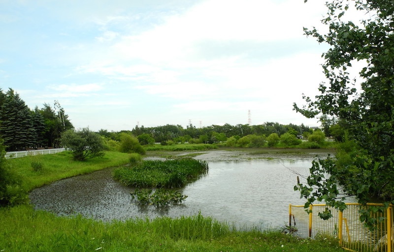 あいの里公園の風景