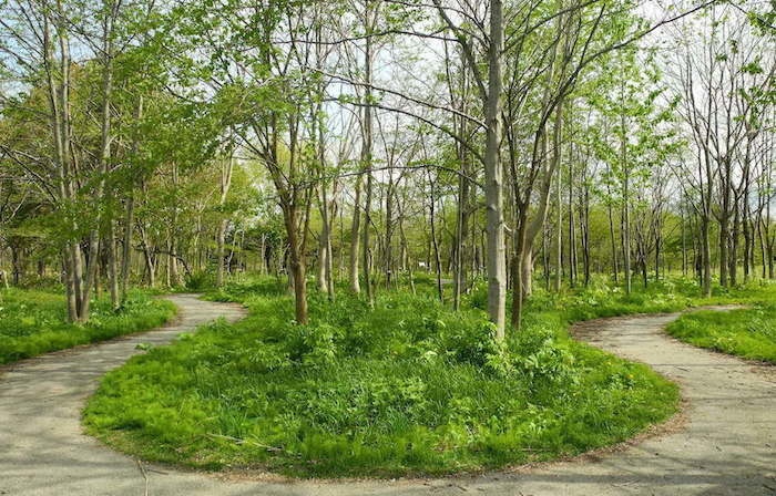 あいの里公園の風景