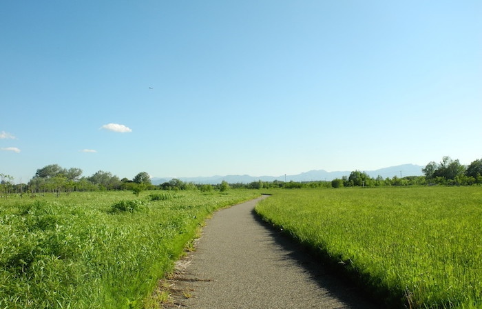 あいの里公園の風景