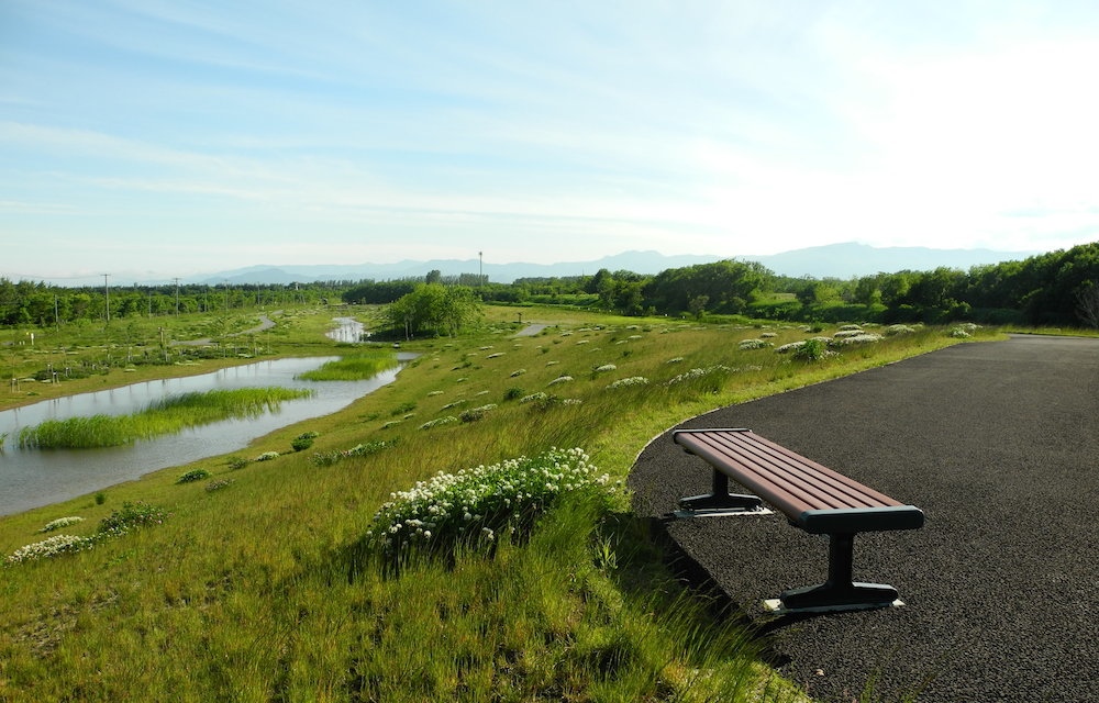 茨戸川緑地