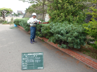 四宮造園 社会貢献活動