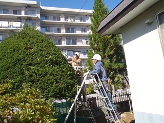 四宮造園 社会貢献活動