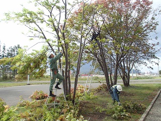 四宮造園 社会貢献活動