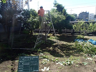 四宮造園 社会貢献活動