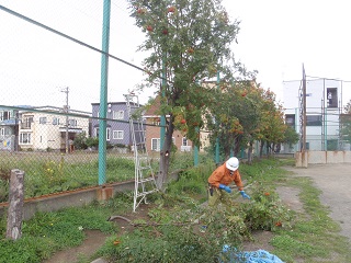 四宮造園 社会貢献活動