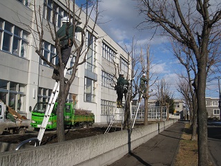 四宮造園 社会貢献活動