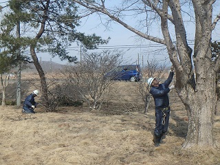 四宮造園 社会貢献活動