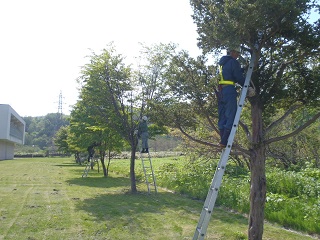 四宮造園 社会貢献活動