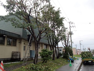 四宮造園 社会貢献活動