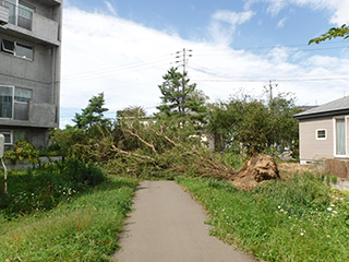 四宮造園 社会貢献活動