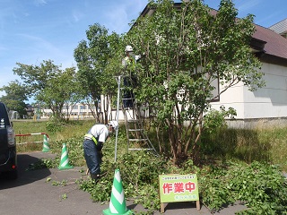 四宮造園 社会貢献活動