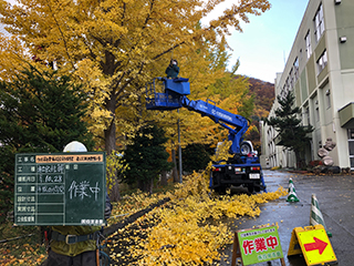 四宮造園 社会貢献活動