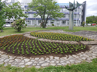 四宮造園 社会貢献活動