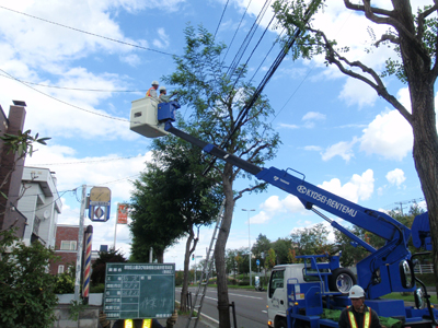 厚別区公園及び街路樹総合維持管理業務（東地区） 維持管理事例