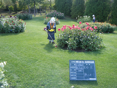 滝野公園芝生・林地他管理業務 維持管理事例