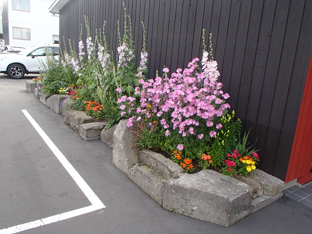 四宮造園の中庭/会社前の花壇