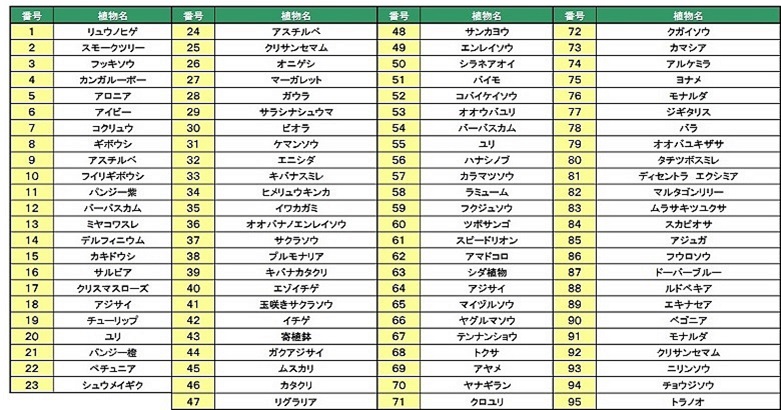 四宮造園の中庭/植栽表