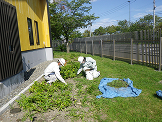 四宮造園 【インターンシップ・職場見学】