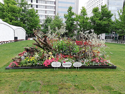 第66回 札幌市大通花壇コンクール 市長賞受賞