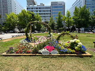 札幌市大通花壇/緑風が奏でる旋律