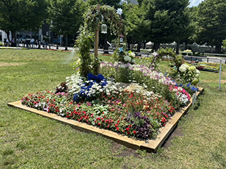 札幌市大通花壇/緑風が奏でる旋律