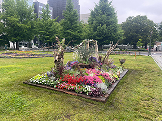 札幌市大通花壇/白樺のフレームに映る庭