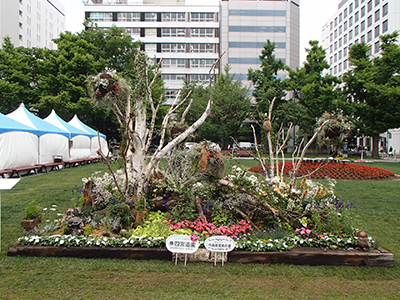 第64回 札幌市大通花壇コンクール 市長賞受賞