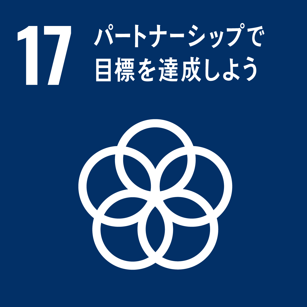 17：パートナーシップで目標を達成しよう。