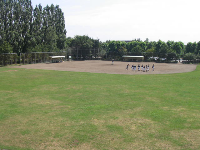 新琴似グリーン公園/野球場の写真